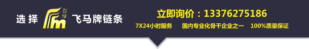 鏈條|鏈輪|輸送鏈--常州市飛馬鏈傳動有限公司